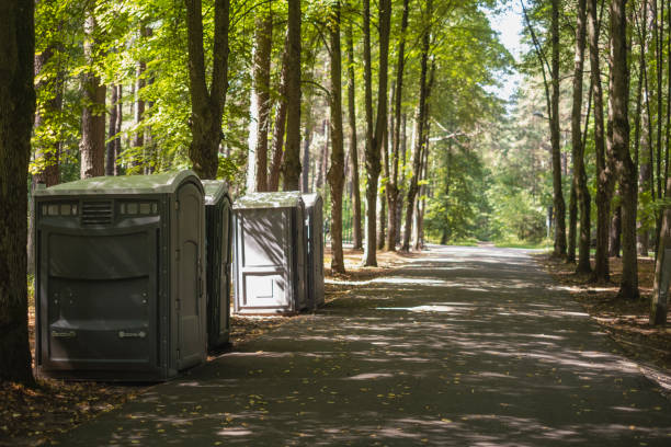 Best Affordable portable toilet rental  in Scottsville, NY